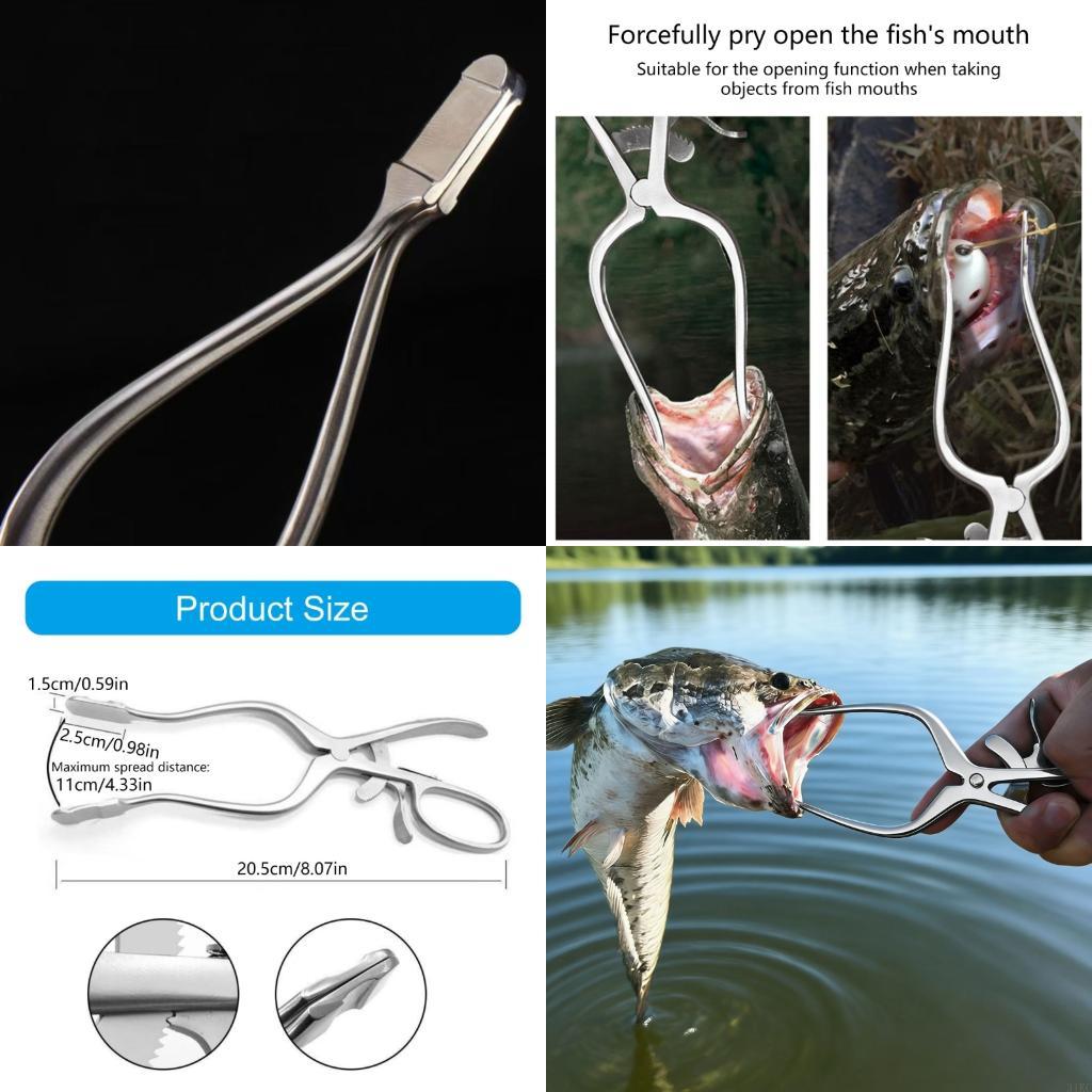 Fischmaulöffner Angelgriffwerk – Fishing Hook Remover Bewertung und Preis